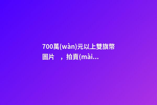 700萬(wàn)元以上雙旗幣圖片，拍賣(mài)會(huì)場(chǎng)才能見(jiàn)到的幾種雙旗幣-第1張-觀點(diǎn)-玄機(jī)派
